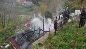 Sinop'ta ahır yangını, 5 hayvan telef oldu