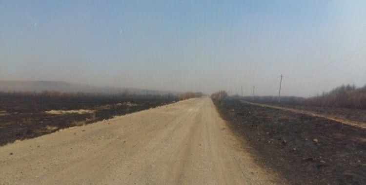 Rusya'daki orman yangını ardında felaket bıraktı
