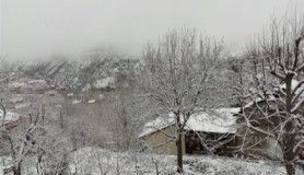 Nisan karı üreticiyi endişelendirdi