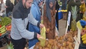 Yerli kivi fiyatların gerilemesine sebep oldu