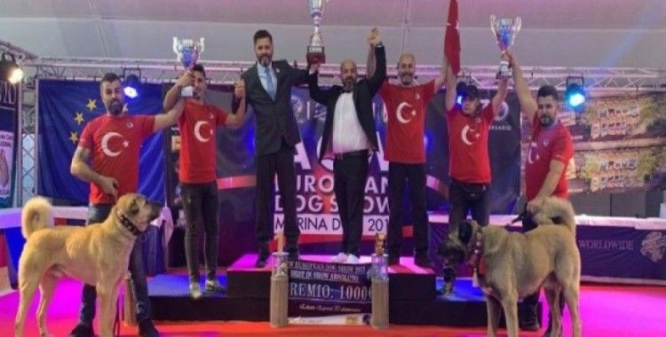 Sivas'ın Kangalları Dünya şampiyonu oldu