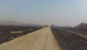 Rusya'daki orman yangını ardında felaket bıraktı