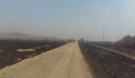 Rusya'daki orman yangını ardında felaket bıraktı