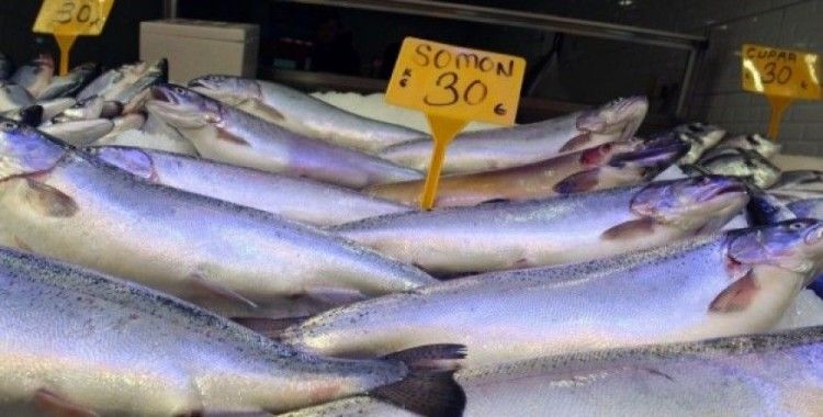 Av yasağının başlamasıyla Sinop’ta balık fiyatları yükseldi