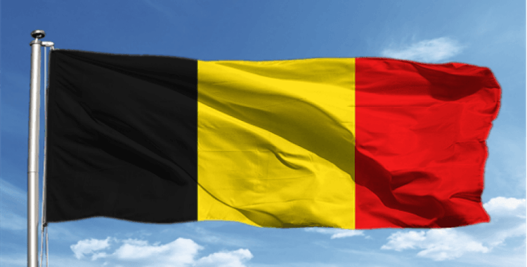 Belçika'da yerel seçimlerde usulsüzlük nedeniyle seçim sonuçları iptal