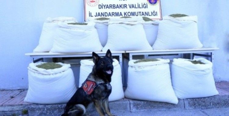 Diyarbakır'da takibe alınan araçta 346 kilogram esrar ele geçirildi