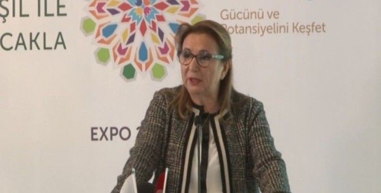 Bakan Pekcan: 'GTS kararı ticaret hedeflerimizle çelişiyor'