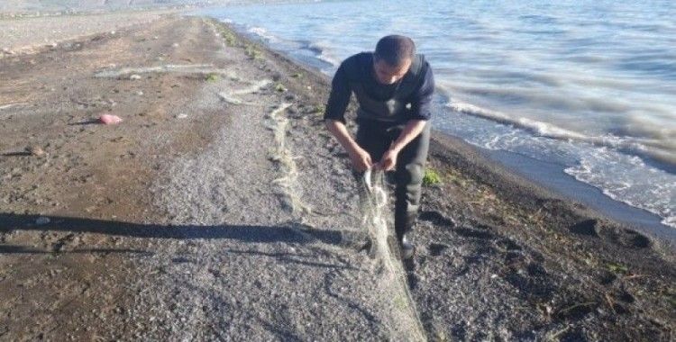 Van'da 750 kilo inci kefali balığı ele geçirildi