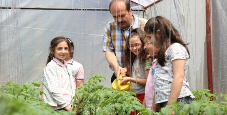 Kocaeli’de okul bahçesine kurulan seralar minik öğrencileri toprakla tanıştırıyor