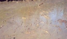 Aşırı yağış sele ve heyelana sebep oldu