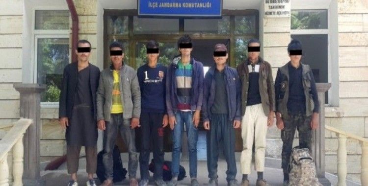Türkiye'ye yasa dışı yollarla giren 7 Afganlı yakalandı