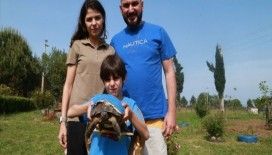 'Şanslı' yapay kabukla hayata tutundu