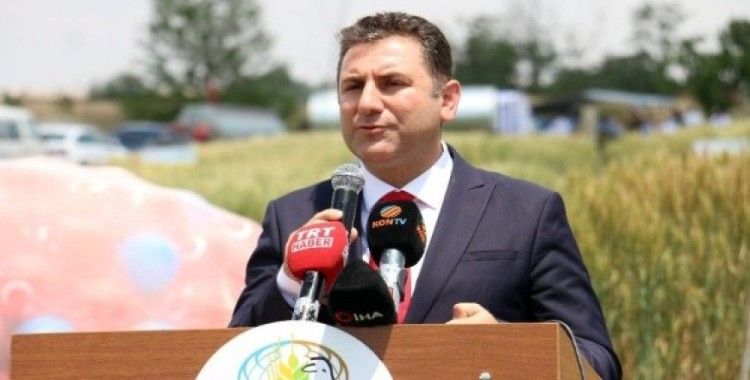 Konya’da Tarla Günü etkinliğinde buğday çeşitleri tanıtıldı