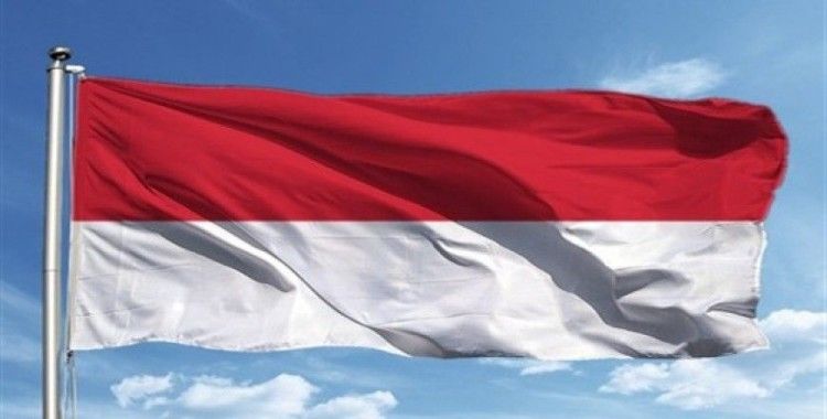 Endonezya'da otobüs kazası: 12 ölü