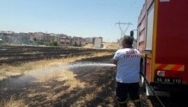 Siirt’te 100 dönümlük alan kül oldu
