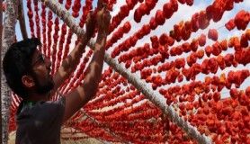 Gastronomi kenti Gaziantep kırmızıya boyandı 