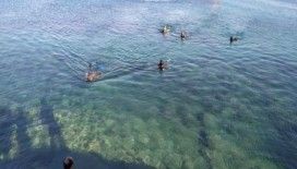 Datça’da denizden 1,5 ton çöp çıkartıldı