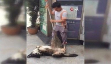 Temizlik işçisinden köpeğe masaj