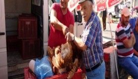  Uşak'ta canlı tavuk ve kanatlı hayvan pazarı yoğun ilgi görüyor