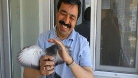 Balkonuna yuva yapan güvercinler için seferber oldu