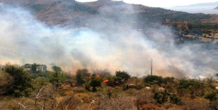 Bodrum'da başlayan yangın yerleşim yerlerini tehdit ediyor