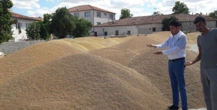 Günlük 800 ton buğday ve arpa sevkiyatı yapılıyor