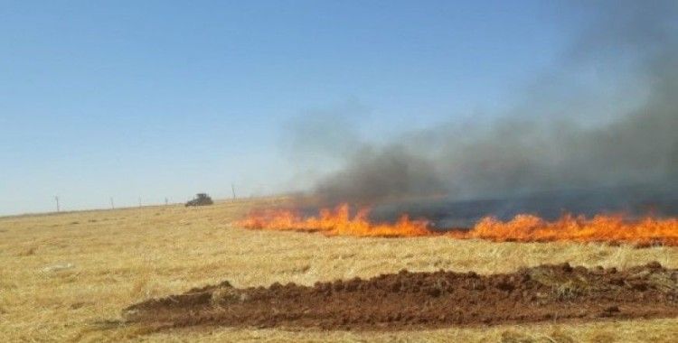 Suriye sınırındaki anız yangını korkuttu