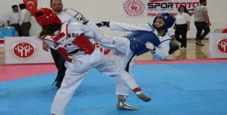 Ümitler Türkiye Taekwondo Şampiyonası Sivas’da başladı