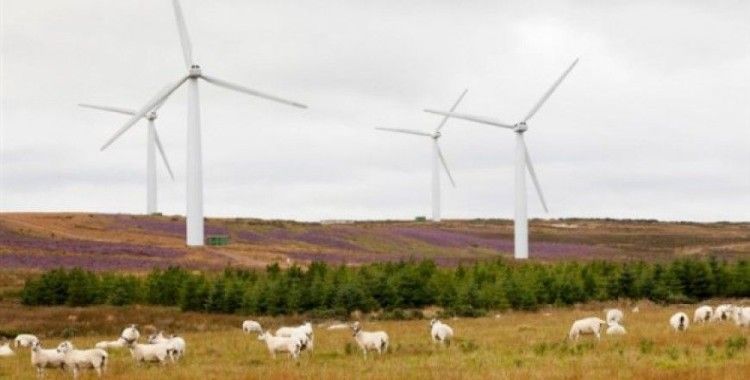 İskoçya'nın rüzgardan elde ettiği enerji, ülkedeki evlerin ihtiyacının tam iki katı