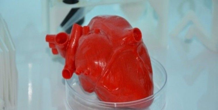 Türk bilim insanları 3D yazıcı ile ‘kalp’ üretecek