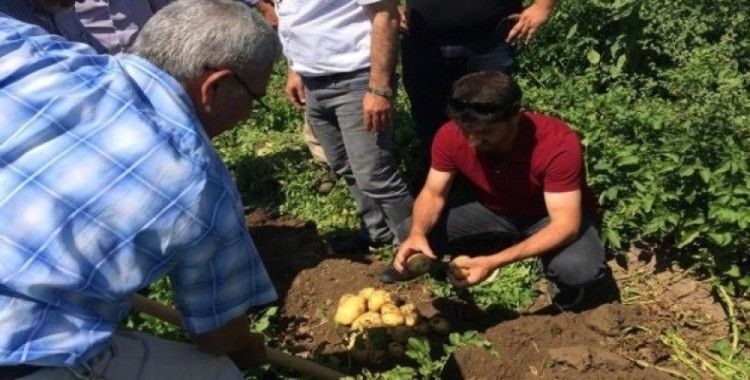 Iğdır’da ekimi yapılan patates hasat edildi