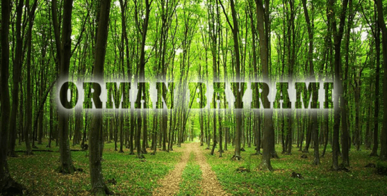 Orman Bayramı