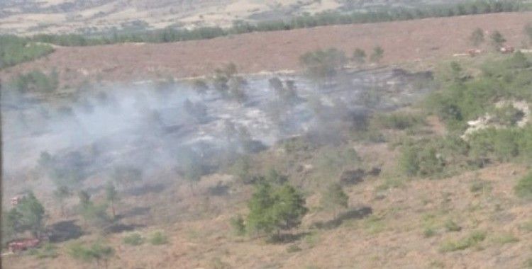 Aydın'da aynı bölgede iki ayrı orman yangını
