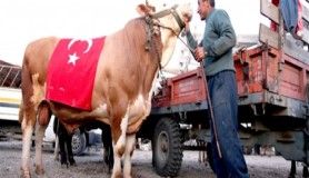 1.5 tonluk 'S-400' 17 bin 250 TL’ye satıldı