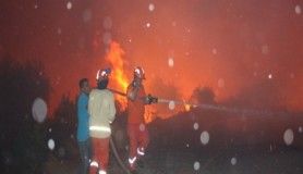 Antalya'da korkutan orman yangını kontrol altına alındı