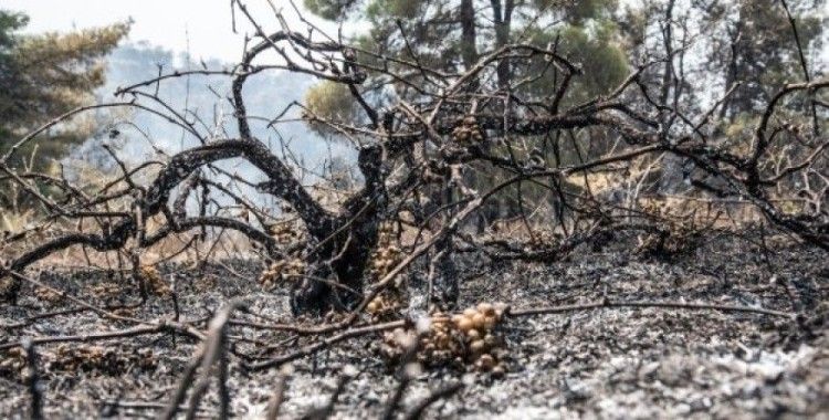 Yunanistan’daki yangın 3 gündür söndürülemiyor