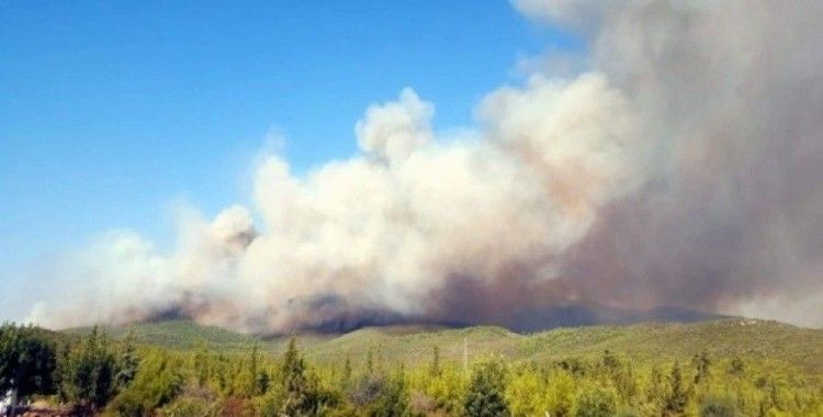 Muğla’daki orman yangınları devam ediyor