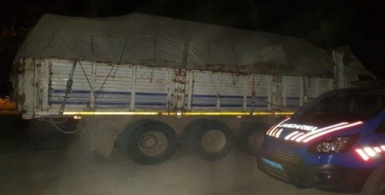 Jandarma 20 ton kaçak tomruk ele geçirdi