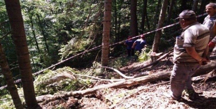 Üzerine ağaç devrilen şahıs hayatını kaybetti