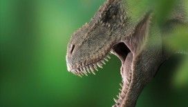 T-Rex'lerin kafataslarında klima işlevi gören delikler keşfedildi