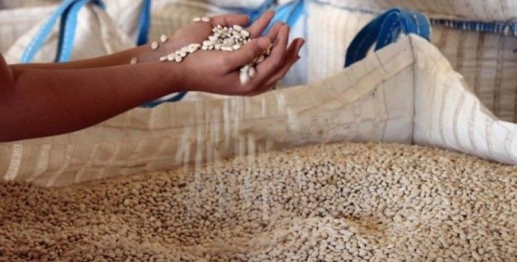 Türkiye’nin 57 şehrine Bitlis’ten fasulye ihraç ediliyor