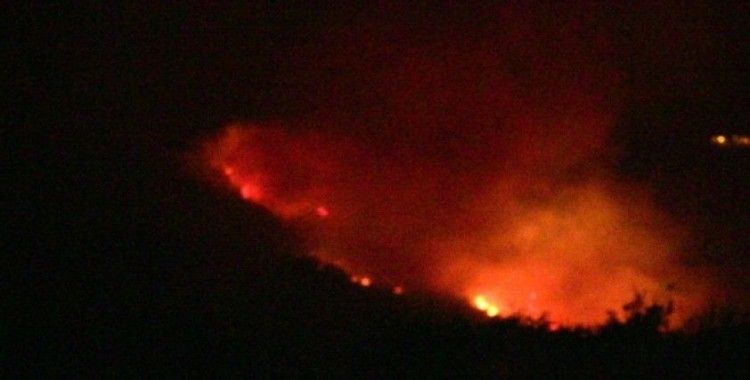 Samandağ’da orman yangını