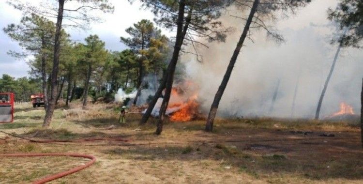 Arnavutköy’de ormanlık alanlık alanda yangın