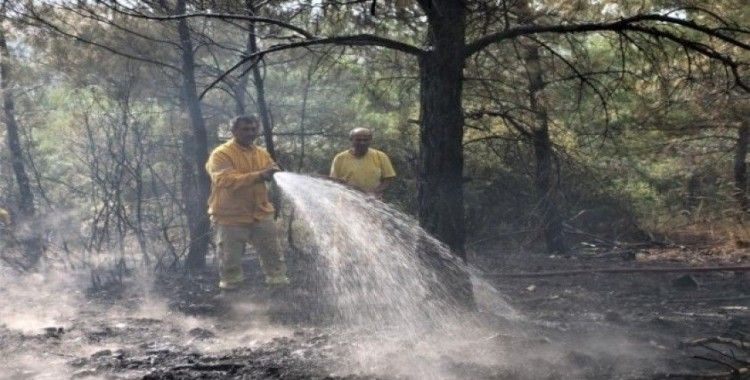 Manisa’daki orman yangını