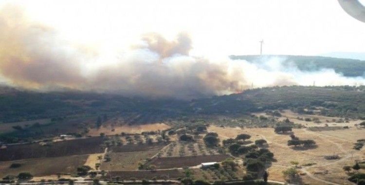 İzmir’de makilik alanda yangın
