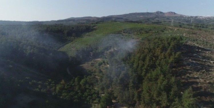 Bursa’da orman yangını 20 dönüm alanı kül etti