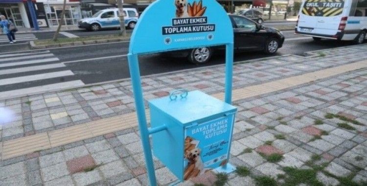 Belediyeden sokak hayvanları için anlamlı proje