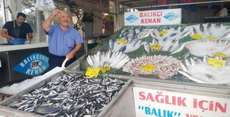 Balıkçı Kenan Balcı: "Palamutun az olmasının nedeni, havaların sıcak olması"
