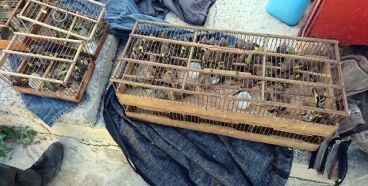 Koruma altındaki kuşları yakalayan kişiye 132 bin lira para cezası