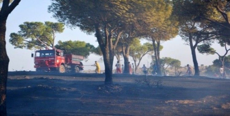 Orman yangınlarıyla mücadelede yeni dönem